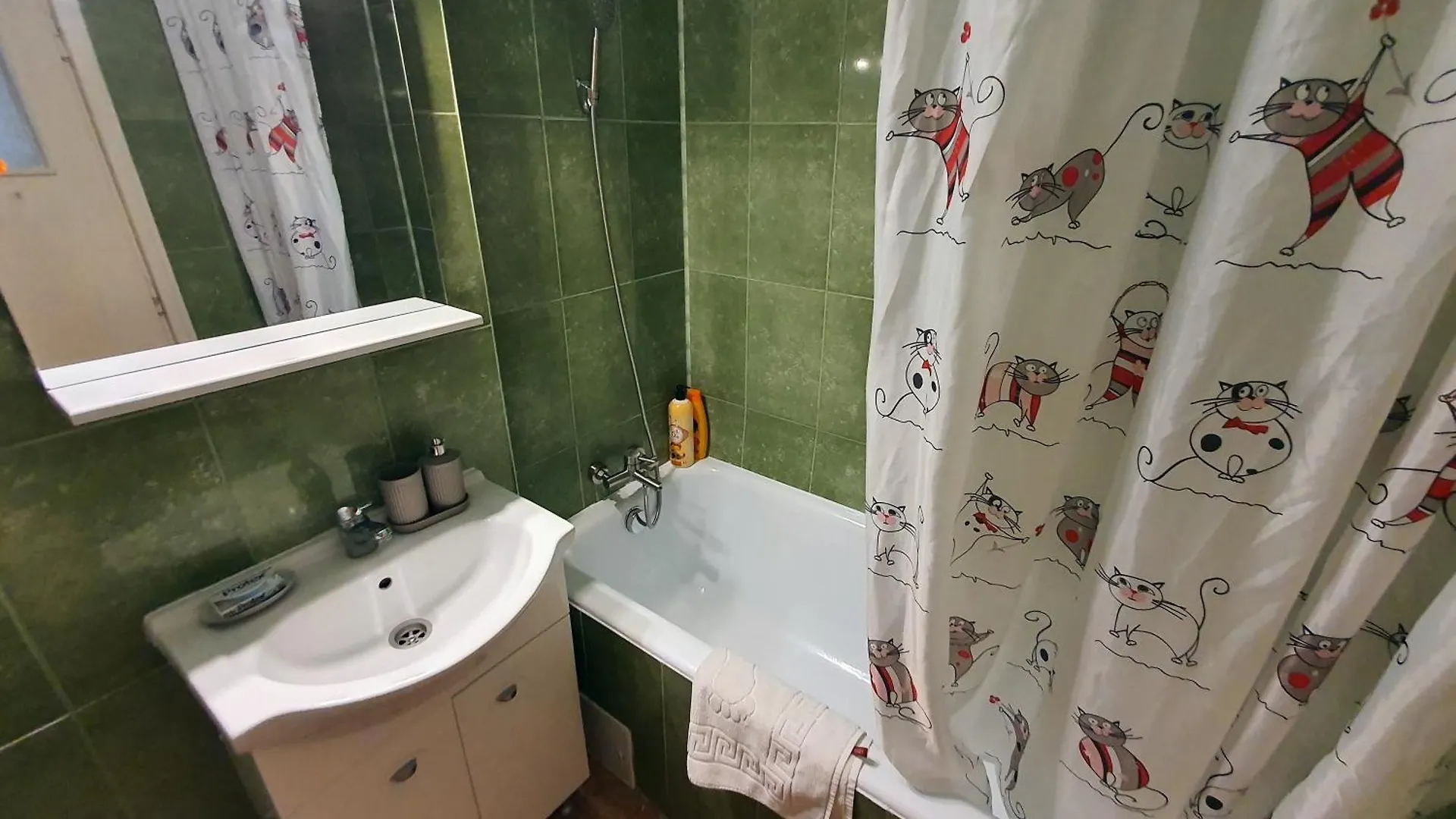 Apartment Cismigiu Home Bucharest